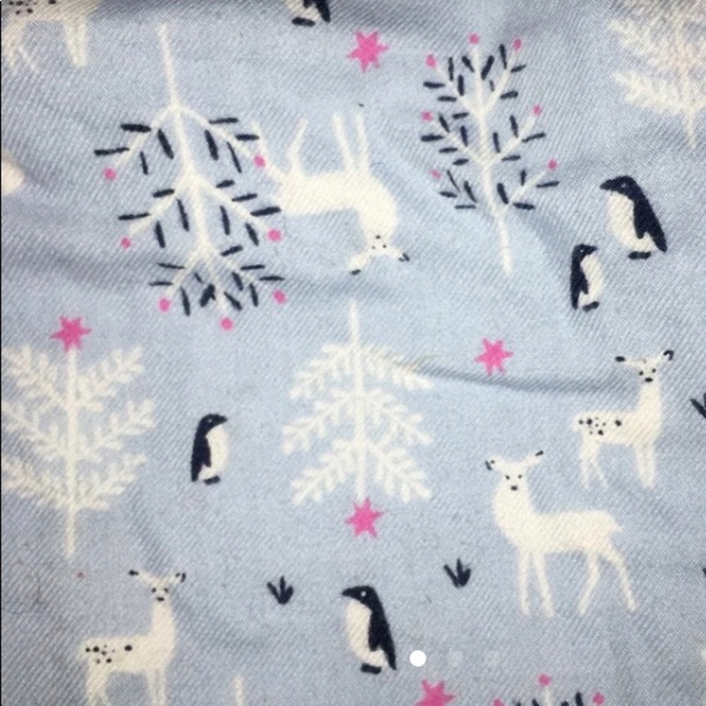 J Crew cute winter pajama pants XS/S - Picture 2 of 4